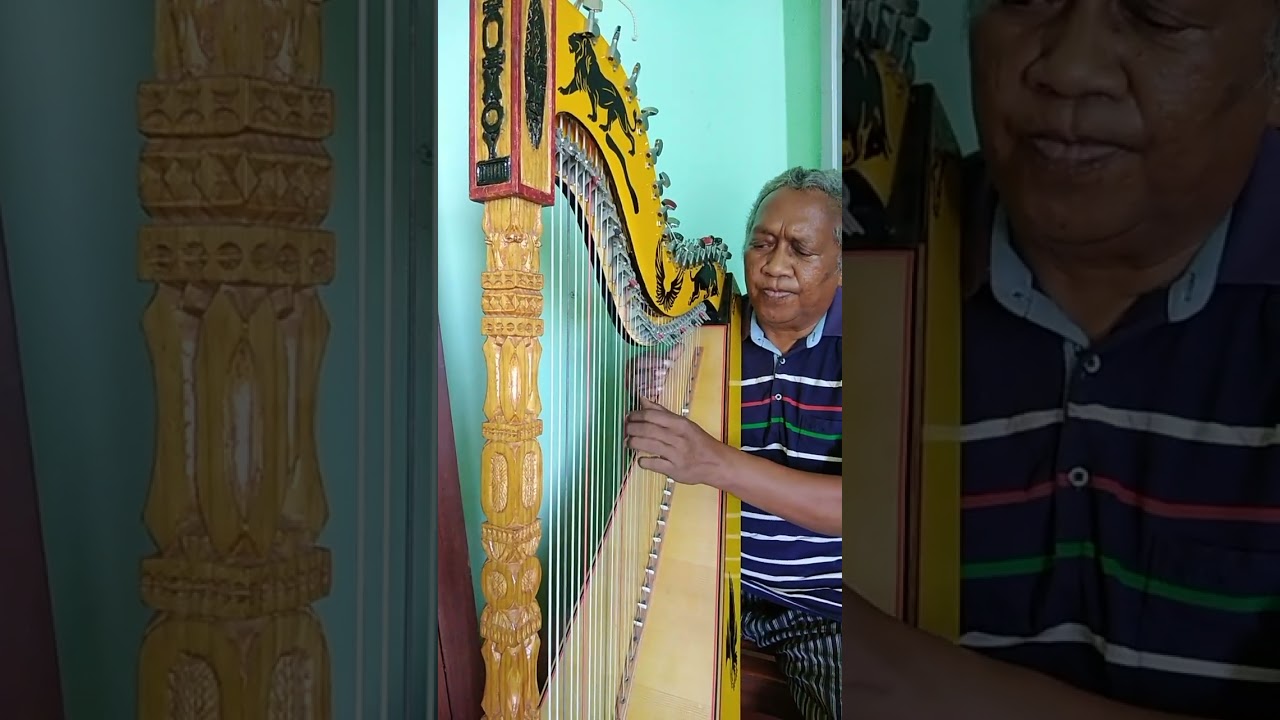 Mamela heloka isan'andro. Harp. Pr Ramaroson JohnHarp  #harp #harpplayer #harpa #harpe
