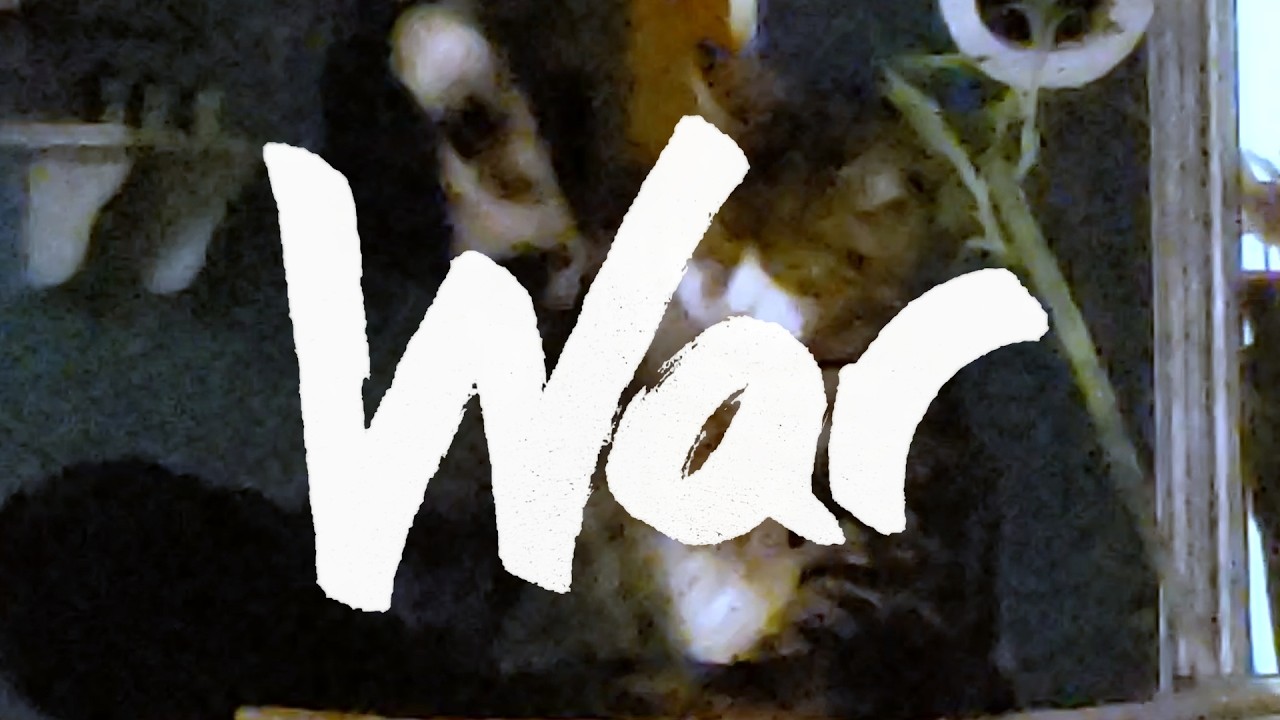 War (Visualizer)