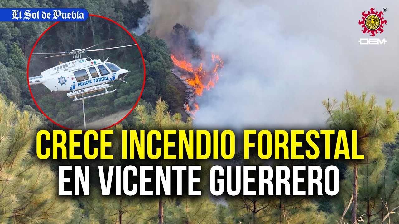 &iexcl;Arde la Sierra Negra! Se expande incendio forestal en Vicente Guerrero