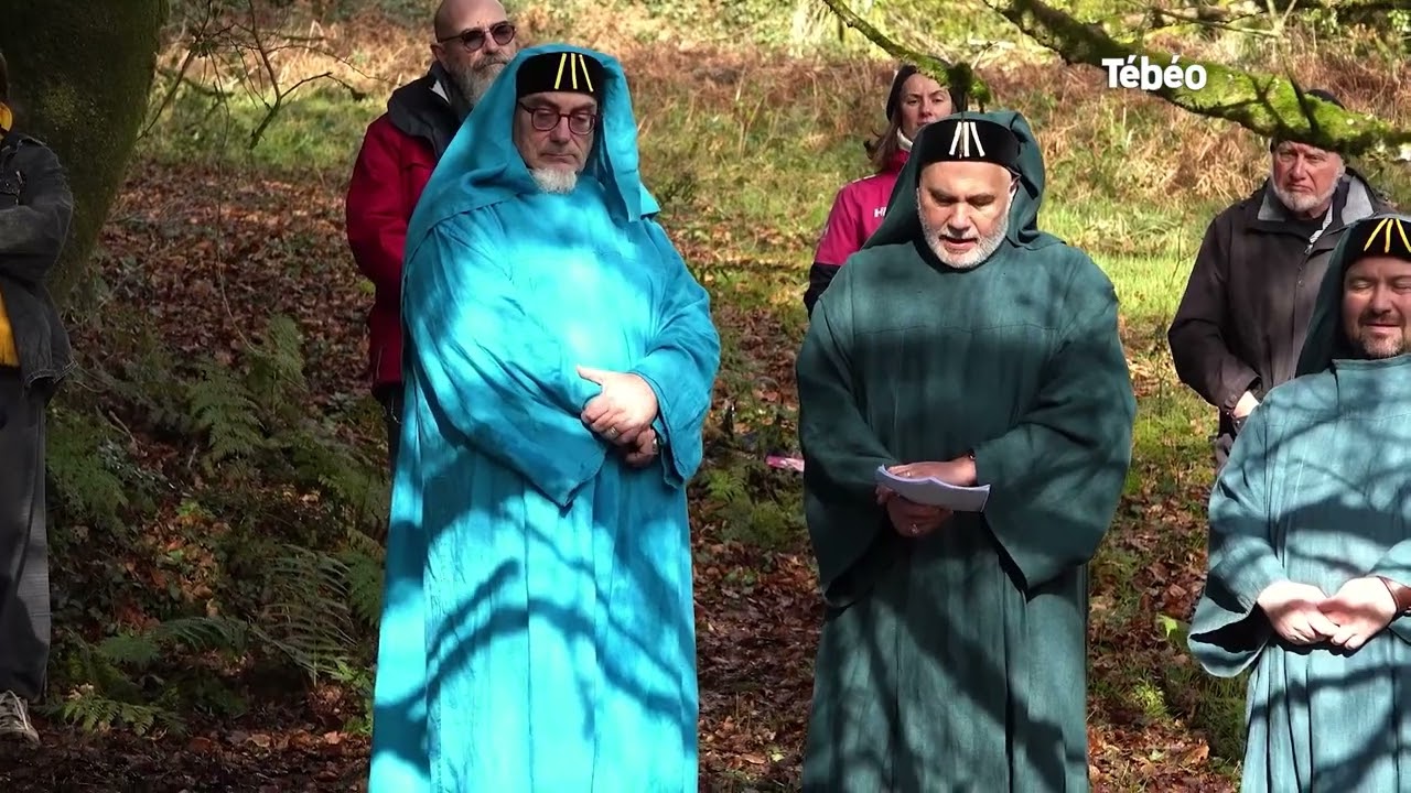 Druides, bardes et ovates de Bretagne .