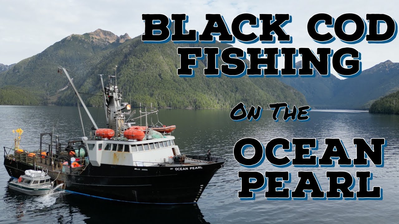 Ловля черной трески на пирсе Ocean Pearl