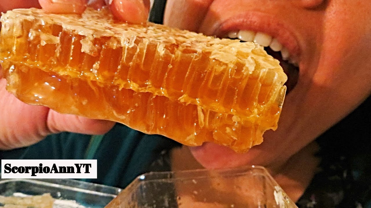 ASMR Eating Honeycomb No Talking Almost