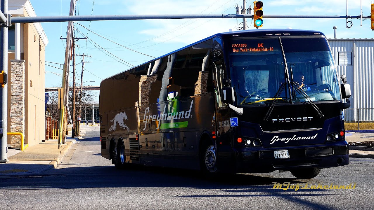 Bus Observations of Greyhound by 𝗙𝗟𝗶𝗫𝗕𝗨𝗦 in Baltimore, Maryland (February 2025)