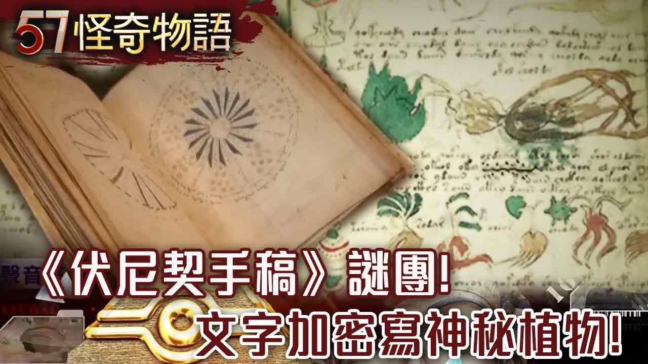 神秘天書！《伏尼契手稿》藏500年謎團 文字加密寫成大量神秘植物曝光&hellip;【57怪奇物語】@57StrangerThings