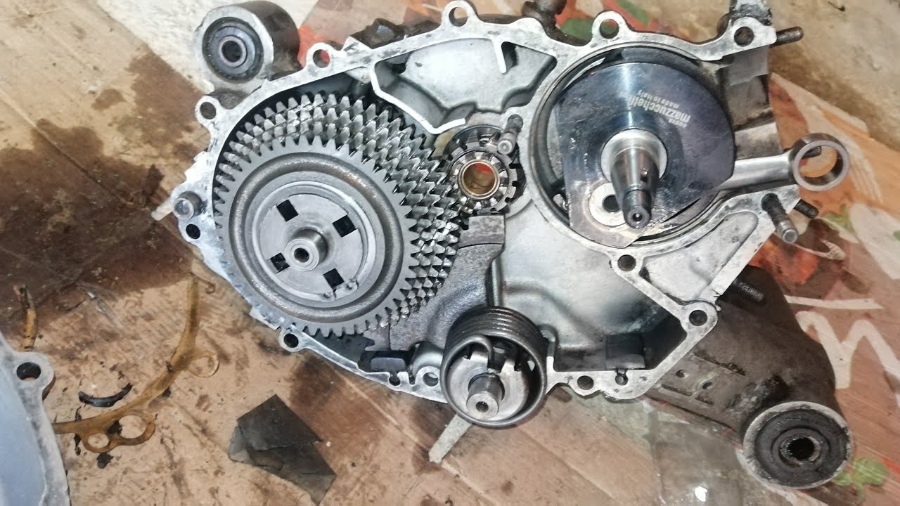 Vespa special 47dr | Campana 22/67 | albero mazzucchelli anticipato