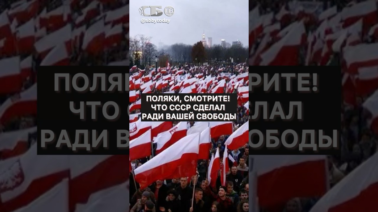 Правда о войне, которую скрывают! Что СССР отдал ради освобождения Польши?