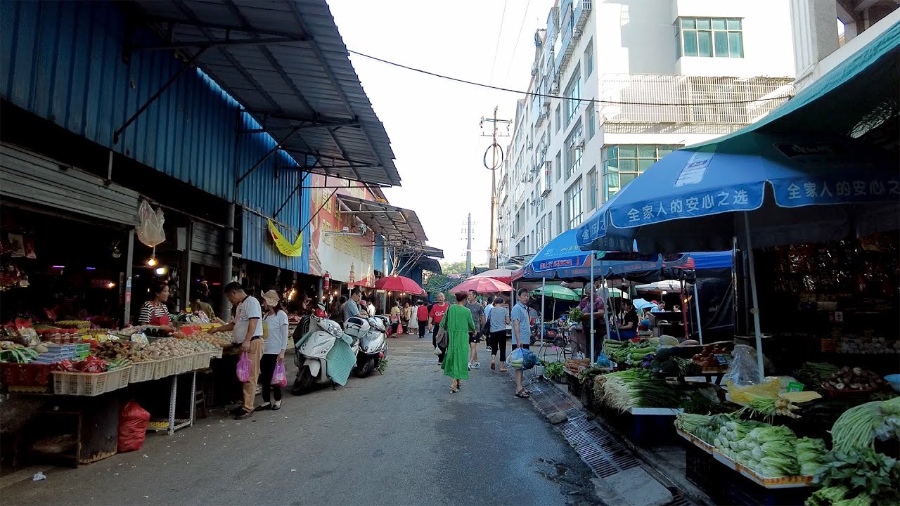Walking Tour of Wet Market in Pingxiang Jiangxi -Long Take 徒步江西萍乡北站临时集贸市场-一镜到底①