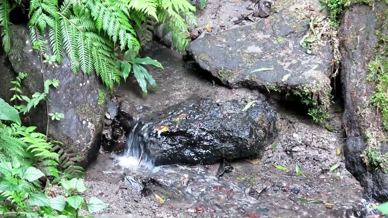 Amora beach trail, Sao Miguel island, Azores