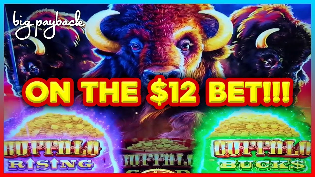 $12/Spin → DOUBLE BONUS! Buffalo Triple Power Slots!!!