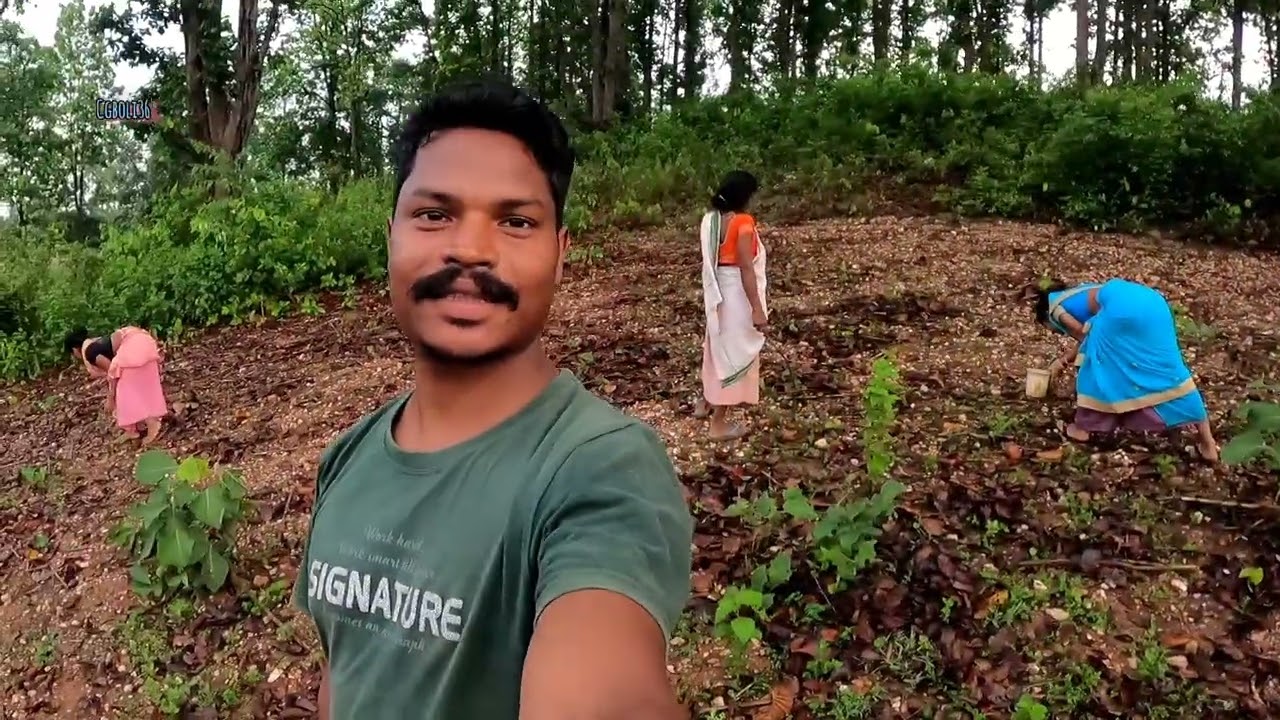पुटू खुखड़ी ब्लॉग्स! 1600 रु किलो वाला सब्जी जंगल में सरगुजिहा #vlog । surguja Chhattisgarh