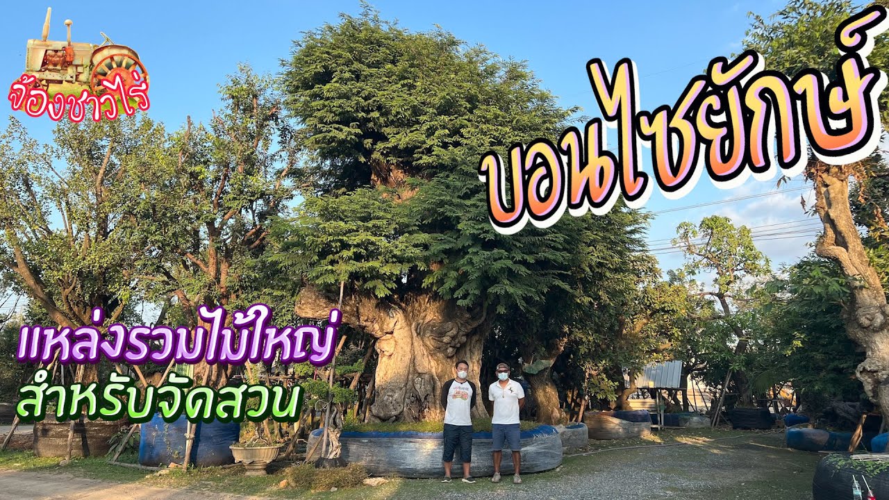 สวนจักรพงศ์พันธุ์ไม้ ไม้ที่คู่ควรกับสวนของคุณ