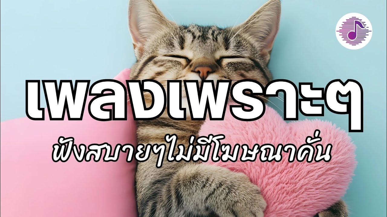 รวมเพลงเพราะๆ รวมเพลงเพราะๆฟังสบายๆ เพลงฮีลใจ เพลงชิลๆ เพลงใหม่ chill song , cozy & relaxing music 