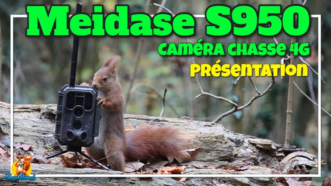 TRAIL CAM 4G : déballage MEIDASE S950