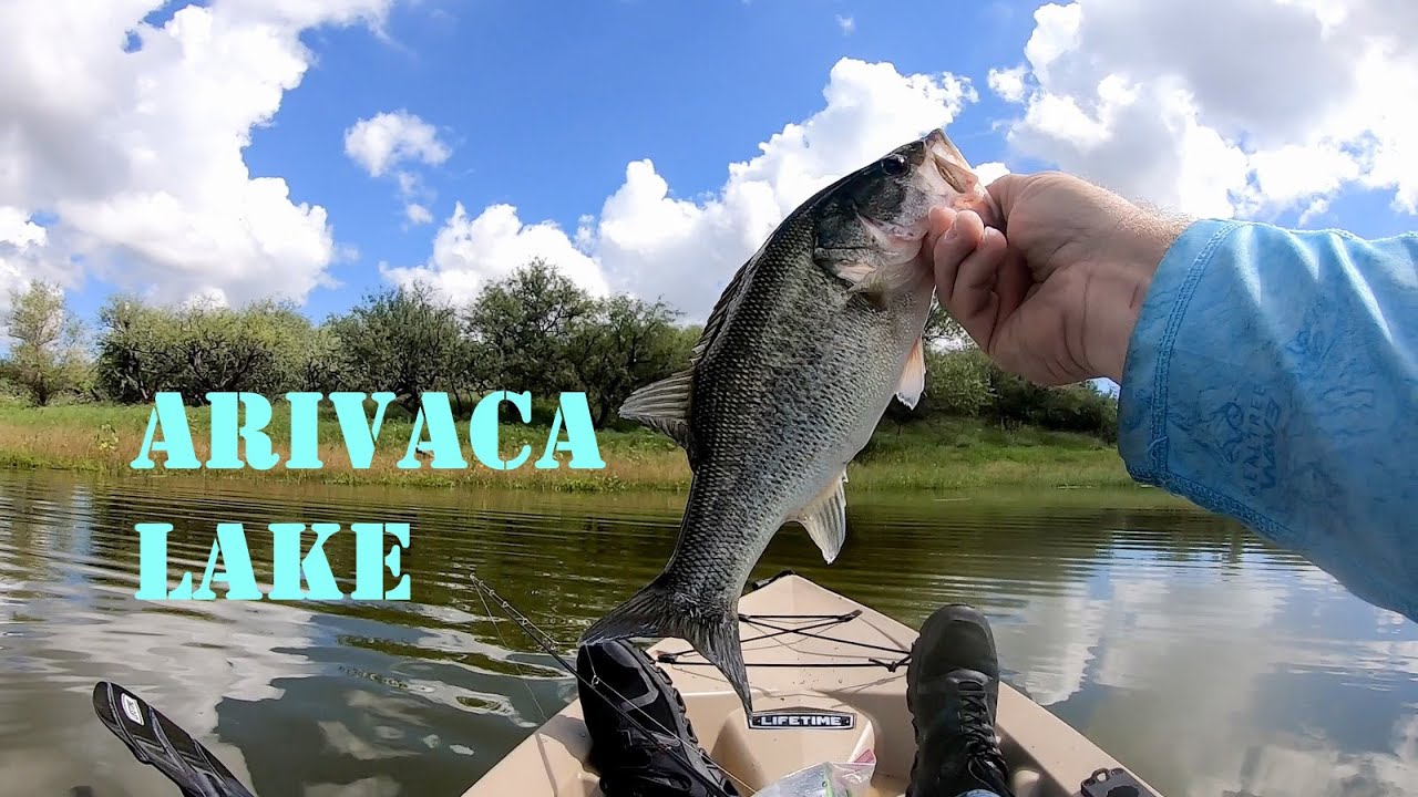 Fishing For Bass At Arivaca Lake, Az. - These Fish Are THICK!!