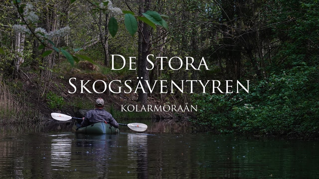 Paddling på Kolarmoraån | Övernattning i vindskydd och i hammock