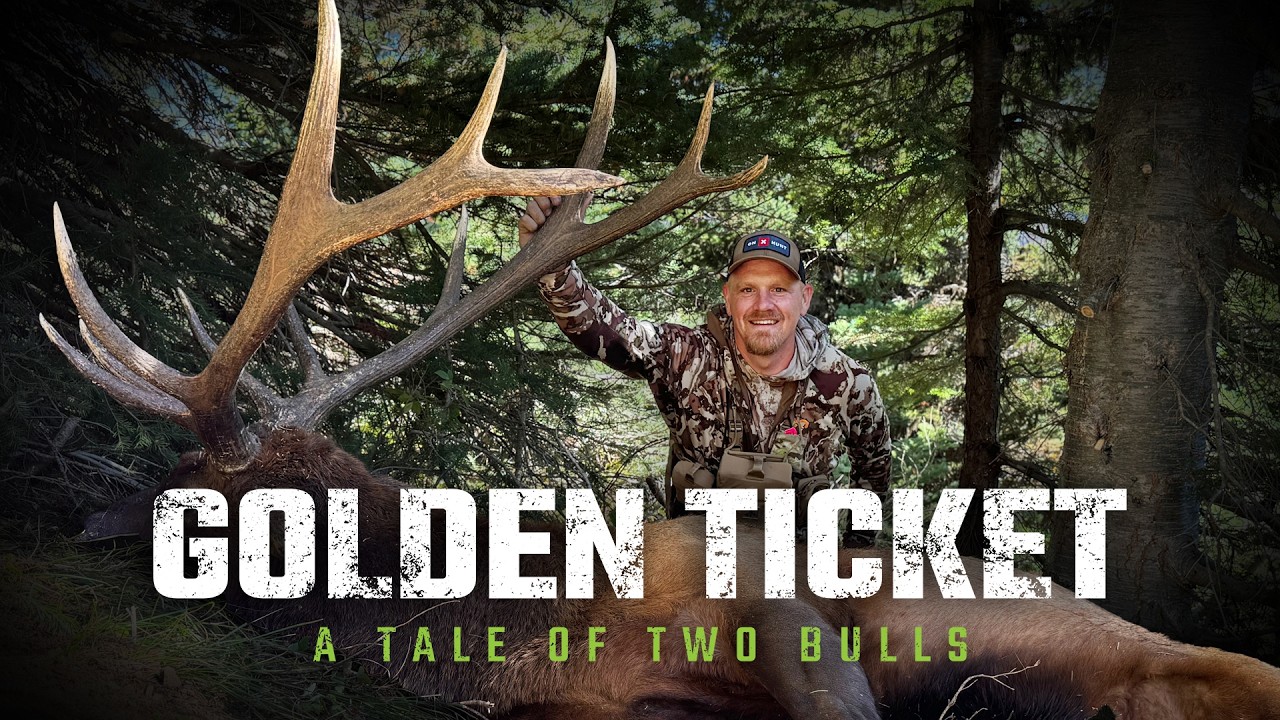 4K | Washington Elk  Hunt | Jason Phelps