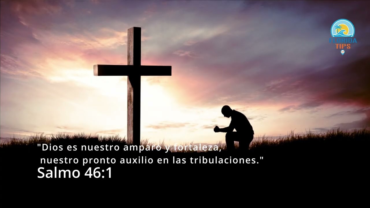 El Refugio Perfecto