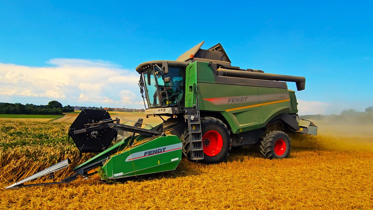 FENDT 5255 L Mähdrescher auf der Schwäbischen Alb beim Weizen dreschen 2024