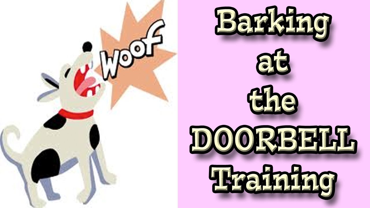 Barking at the Doorbell: Dog Training