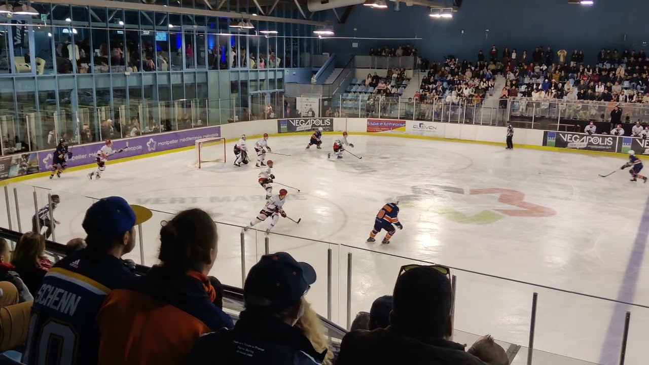 Montpellier '' VIPERS'' contre Cholet ''DOGS''