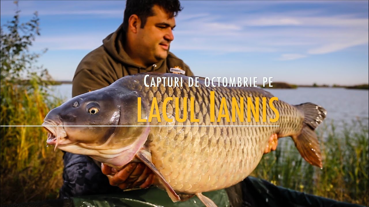 Capturi de octombrie pe lacul Iannis
