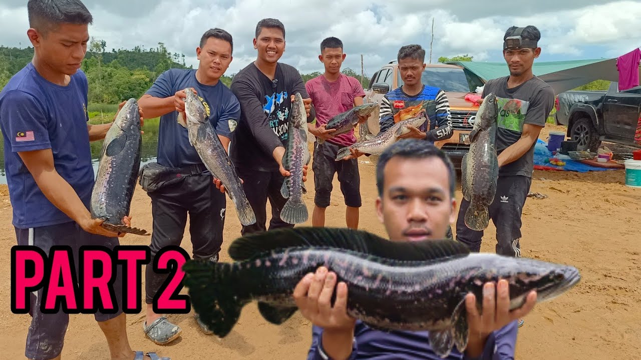 MEMBURU ULAR DAN TOMAN AMAZON TERENGGANU - EPISOD 2