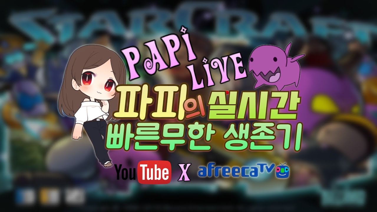 [빨무파피러블리] 2026년 02월 04일 스타 빨무 팀플 스타크래프트 starcraft💕💕