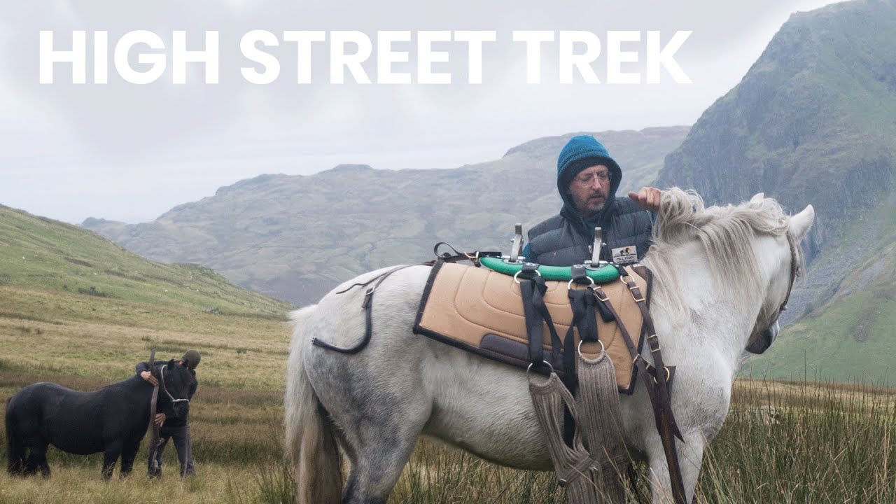 High Street Trek 2020