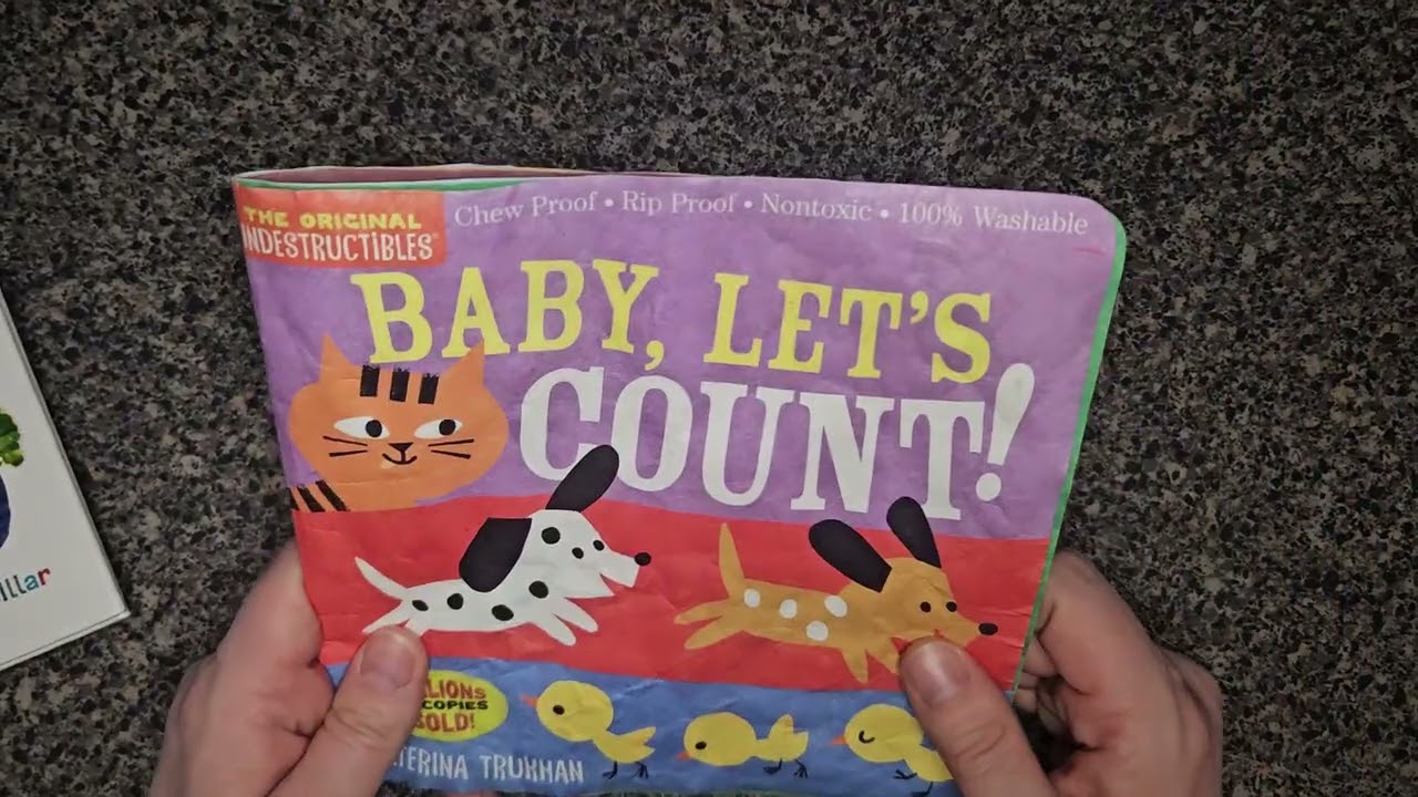 Help Babies Love Reading 2026 Guide | Indestructibles 