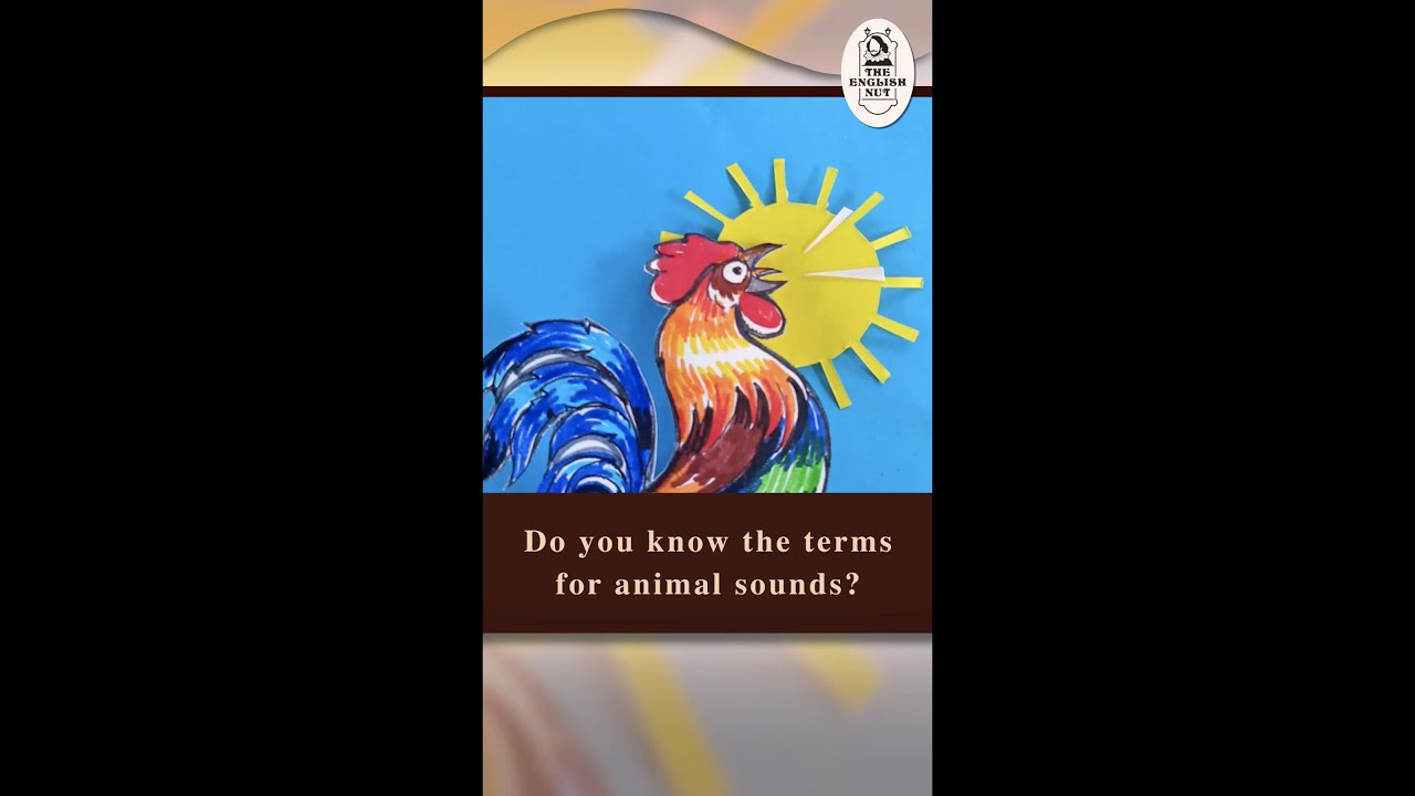 Take my animal sounds quiz!