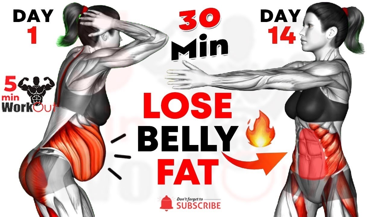 30 Exercises Reduce Upper & Lower Belly Fat for Weight Loss Faster Results