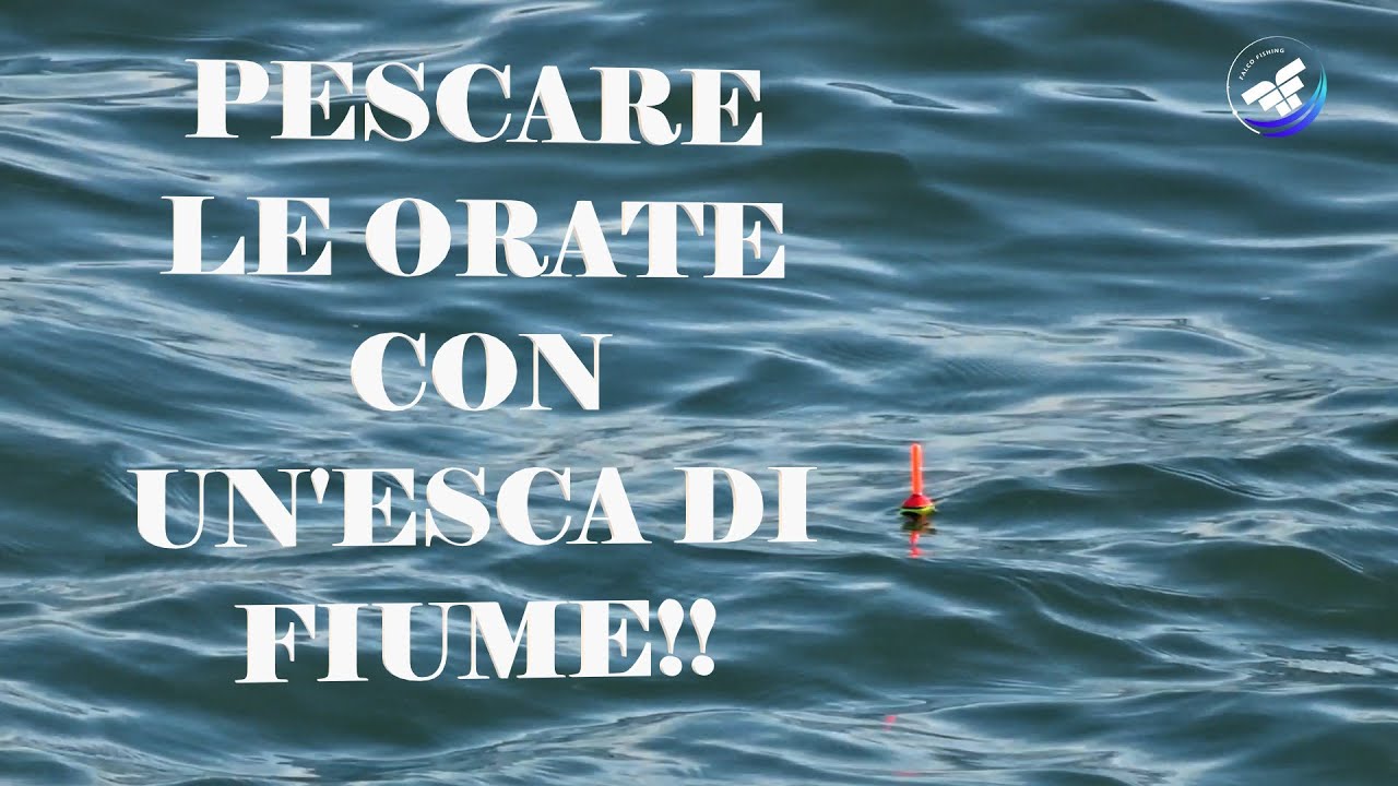 ORATE DALLA SCOGLIERA ~ Pescare le ORATE con un' ESCA di fiume ~