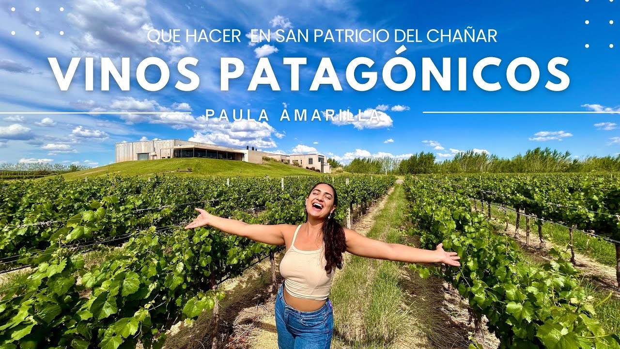 BODEGAS FAMOSAS DE NEUQUÉN🍷[Schroeder - Malma] San Patricio del Chañar |Patagonia Arg