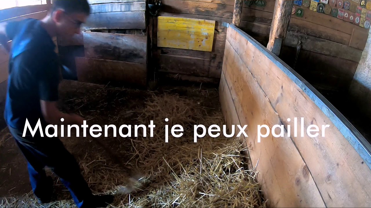 [GOPRO] Nettoyage d'un boxe pour chevaux