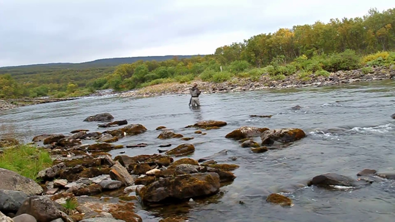 Storlaksen fra Finnmark - En Fisketur til Vestre Jakobselv