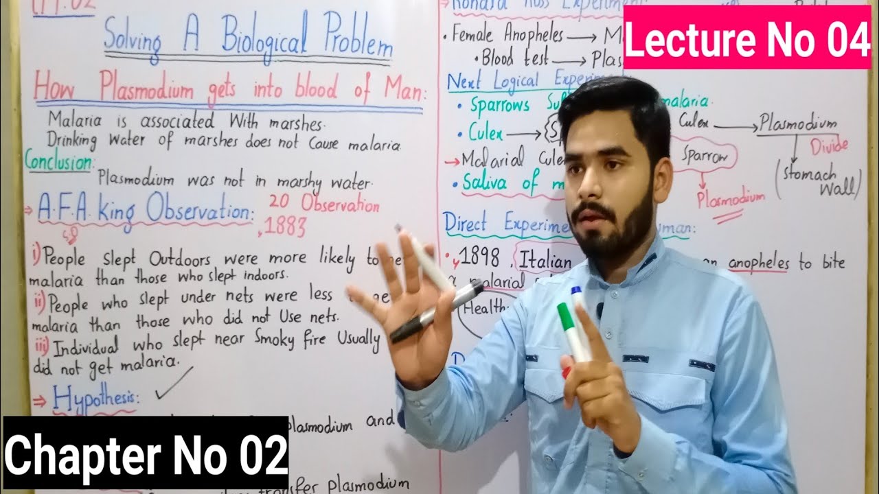 How Plasmodium Gets Into Blood Of Man Class 9 In Urdu Hindi | Study Of Malaria | Ch# 02 | Lec# No 04