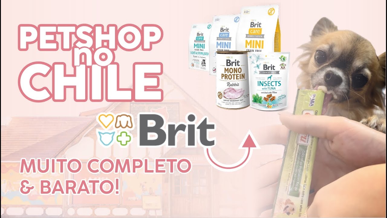 PET SHOPS NO CHILE BARATOS E COMPLETOS | ENCONTREI BRIT | PETSHOPS PELO MUNDO
