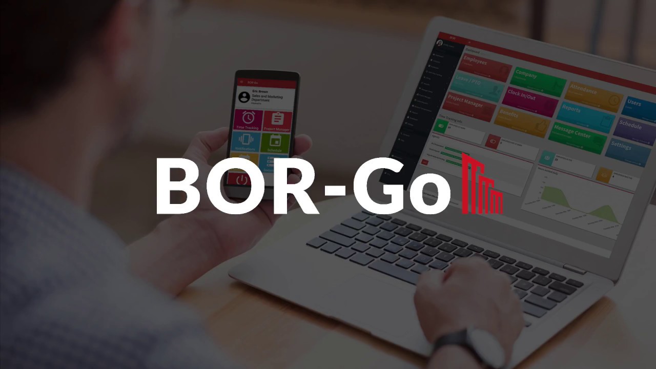 BOR-Go Introduction