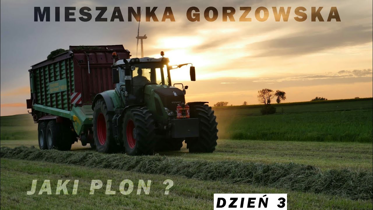 MIESZANKA GORZOWSKA - JAK PLONUJE NA SŁABYCH GLEBACH? #DZIEŃ3