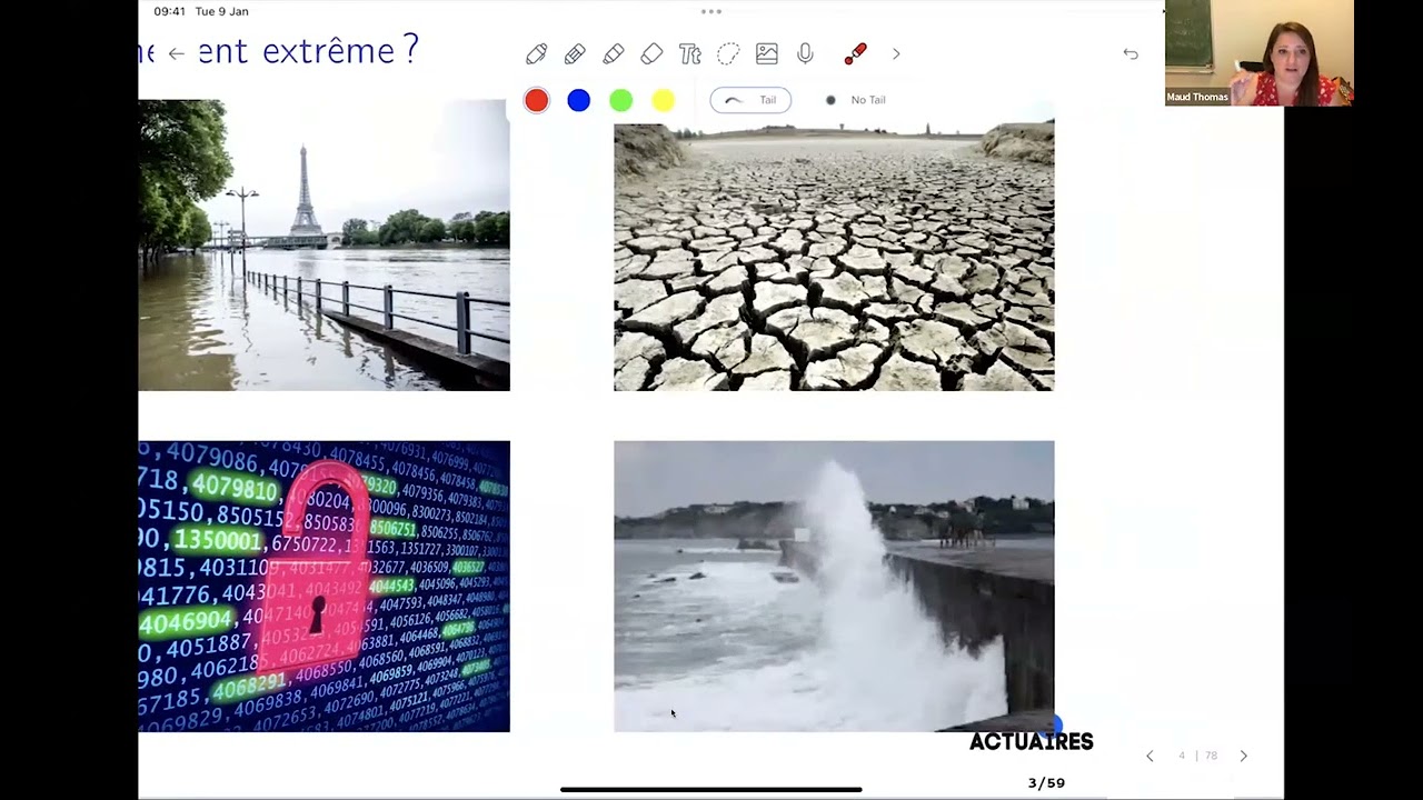 La théorie des risques extrêmes et son application