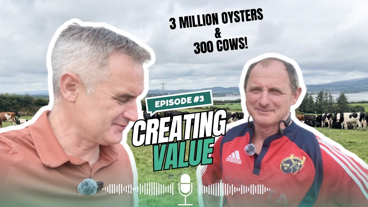 Creating Value Series - Episode #3 - 3M Oysters & 300 Cows in Coastal Waterford