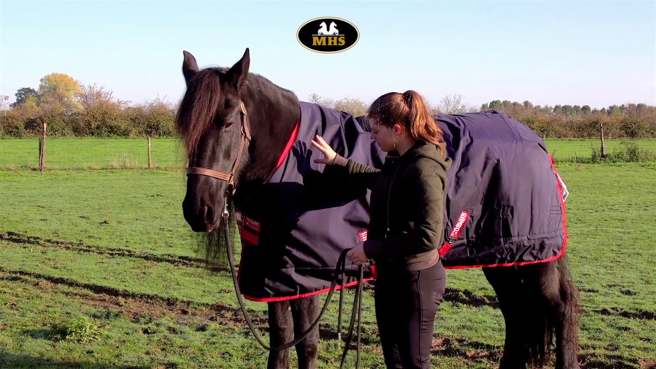 Horseware | Rambo Original Turnout