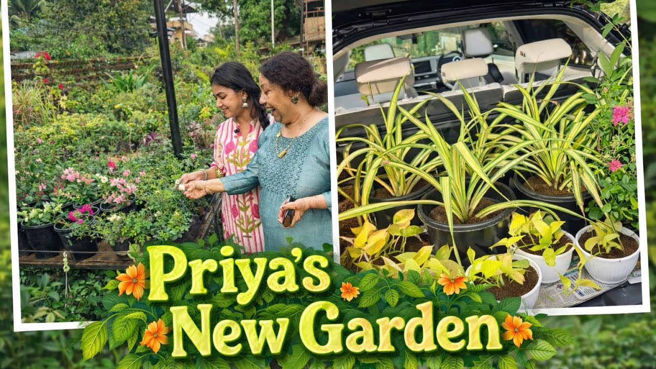 Priya’s New Beatigul HOME Garden Arrangement 🪴