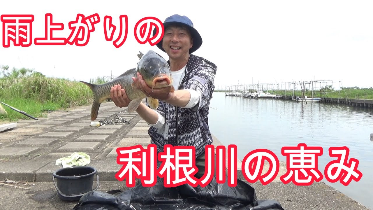 渡辺武の一緒に♥鯉釣りしませんか？～雨上がりの利根川の恵み！の巻き～