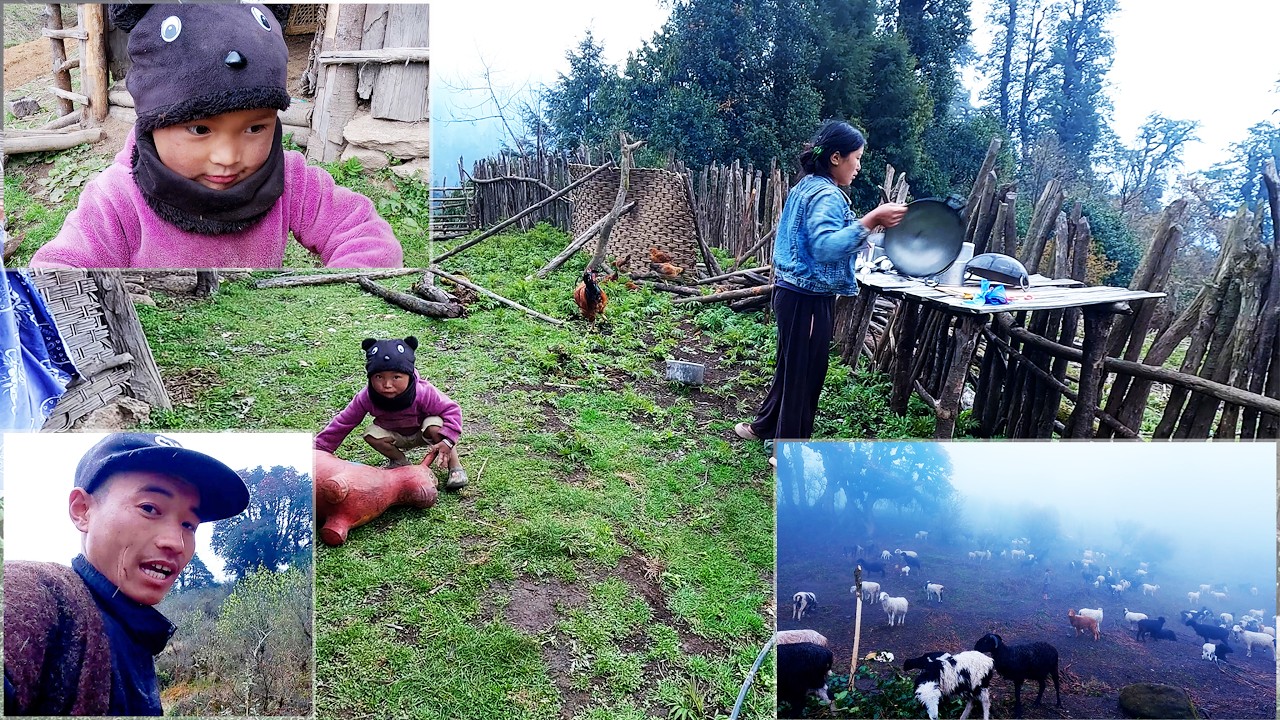 Himalayan life of Somuhang family || shepherd life of Nepal | Pastoral life of Nepal@junglefamily