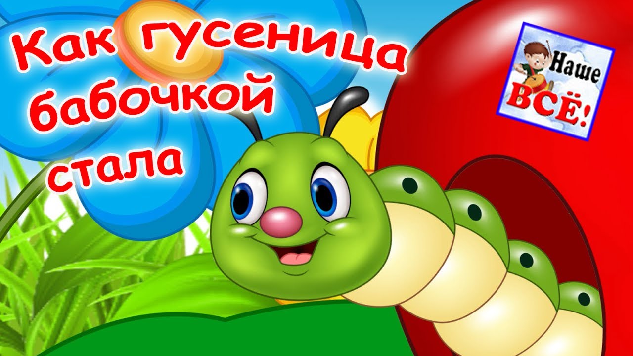Как гусеница бабочкой стала! Мульт-песенка видео для детей. Наше всё!