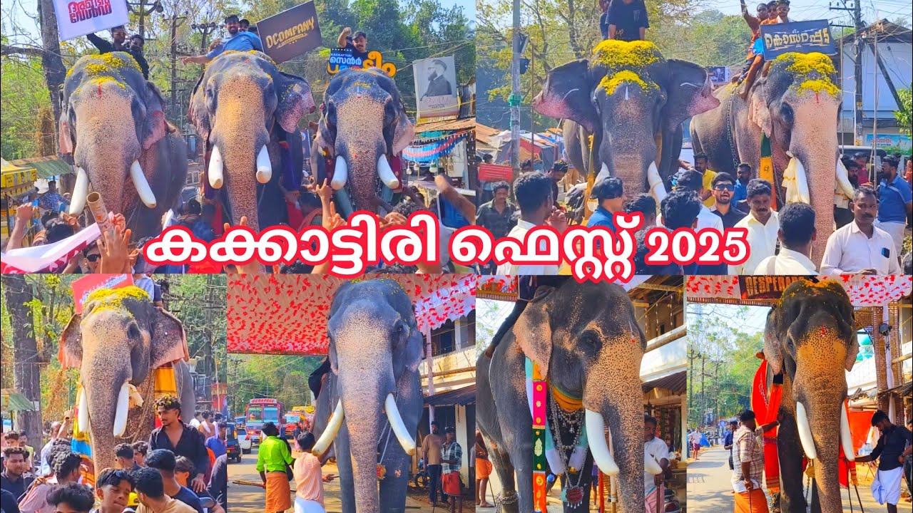 രാജാക്കന്മാരുടെ സ്വീകരണം 🥵🔥 || കക്കാട്ടിരി ഫെസ്റ്റ് 2025 || Kakkattiri Fest 2025 ||