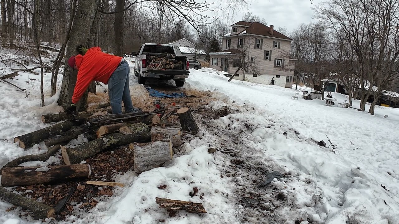 DROPPING CUTTING & LOADING AT BIG LOU'S