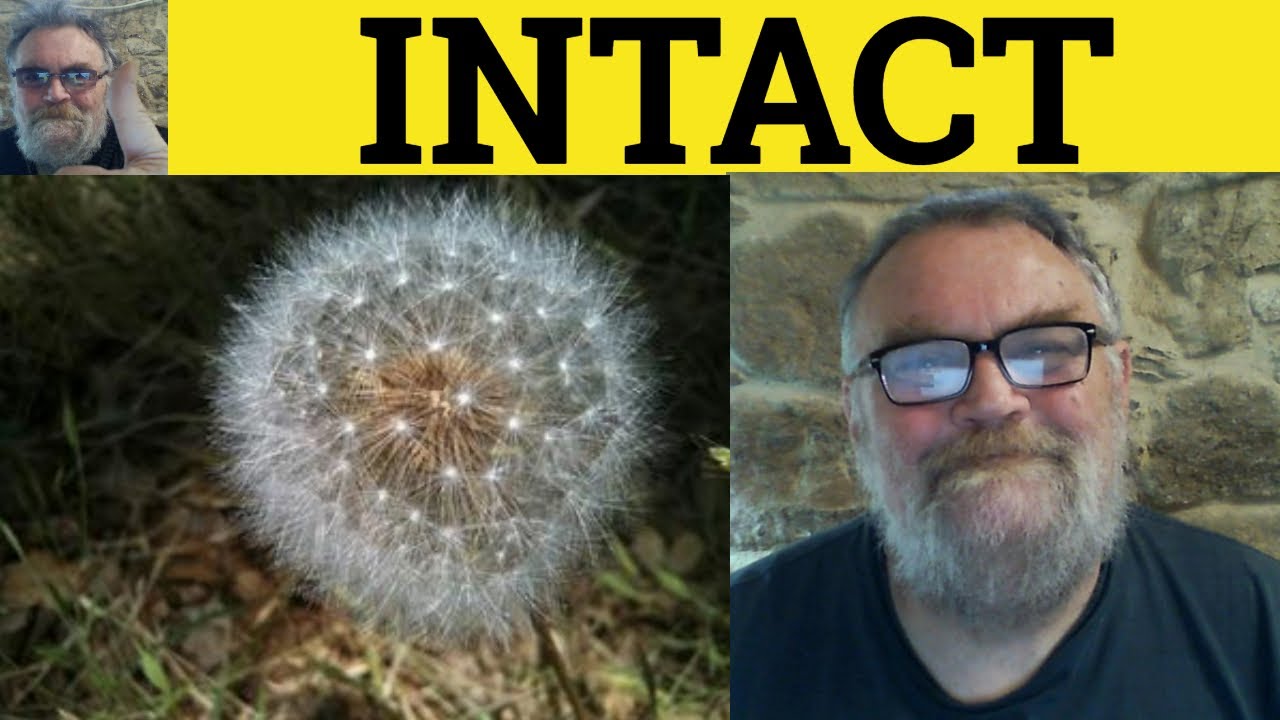 🔵 Intact Meaning - Intact Examples - Intact Definition - CAE Adjectives Intact