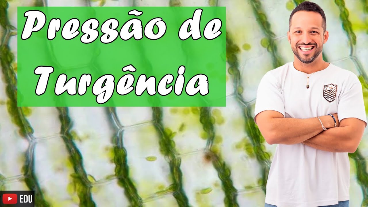 Pressão de Turgência - Fenômenos Osmóticos Vegetais - Osmose - Citologia